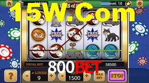 Experiência VIP 800Bet