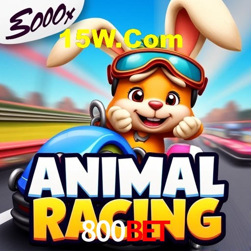 Estatísticas Crash Games 800Bet