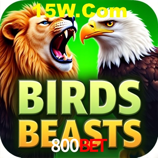 Integração de APIs 800Bet