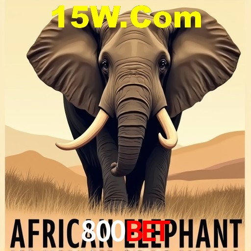 Mesa de Roleta 800Bet