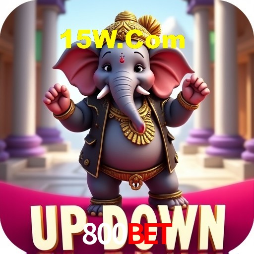 A Experiência Imersiva dos Cassinos Ao Vivo no 800Bet